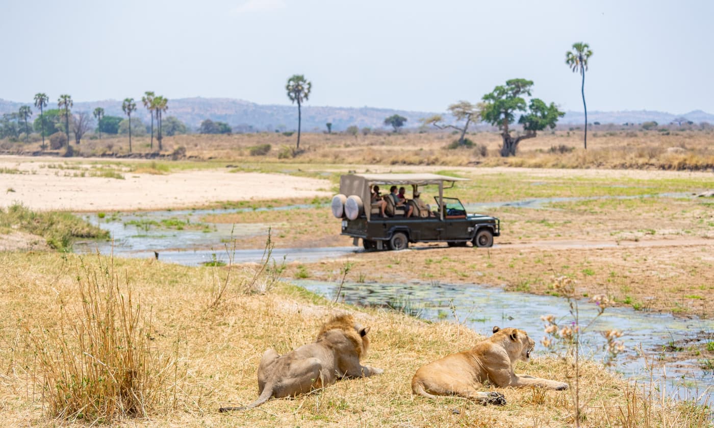 Game-drive vehicle passing lions resting by the river